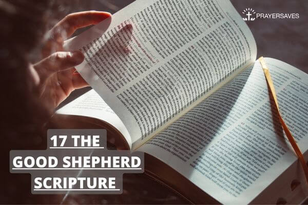 17 The Good shepherd scripture 1