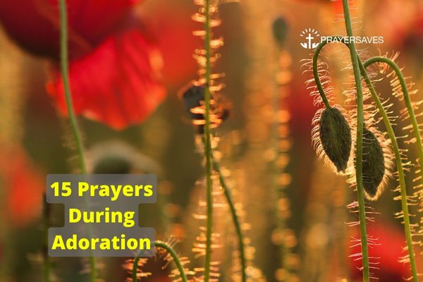 15 Prayers During Adoration