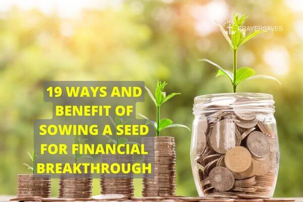 Sowing A Seed For Financial Breakthrough - With Benefits