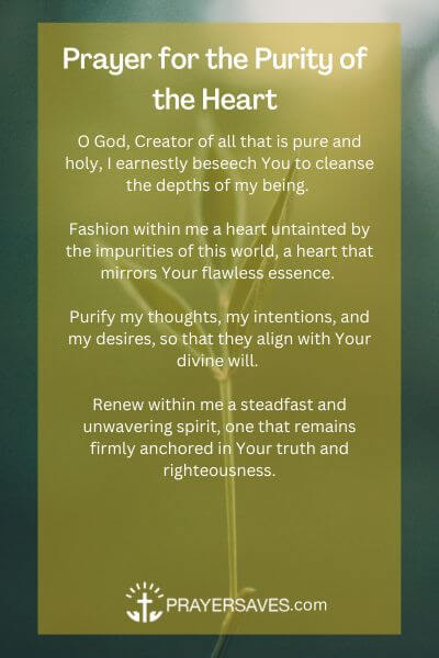 Prayer for the Purity of the Heart